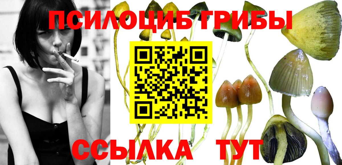 Галлюциногенные грибы Cubensis Красноярск