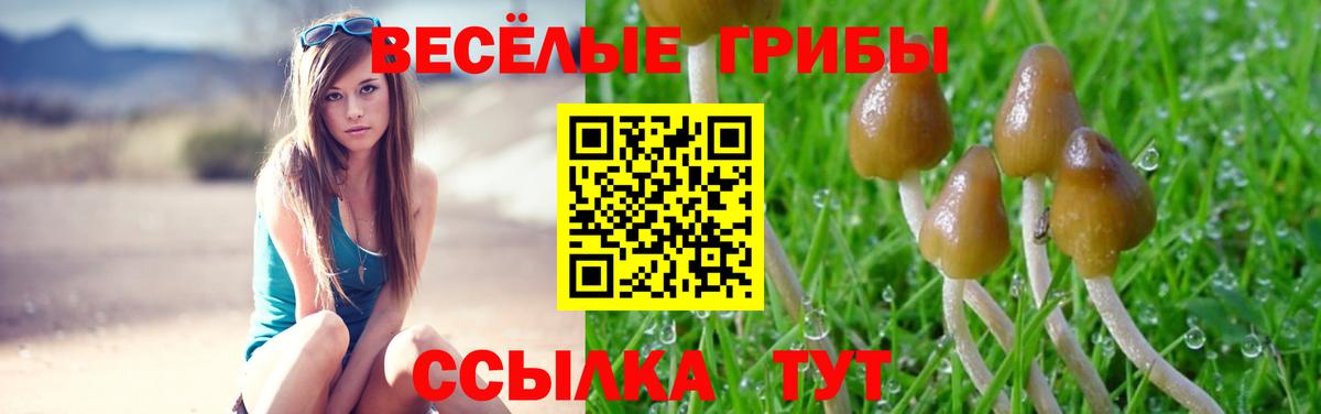 Красноярск  купить закладку  Вход с VPN  Галлюциногенные грибы MAGIC MUSHROOMS 